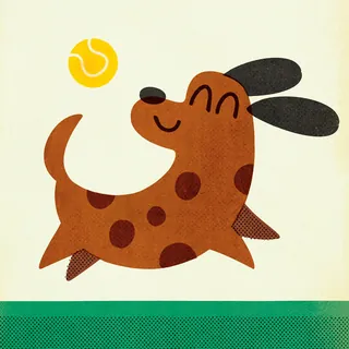 Brown spotted dog happily chasing yellow tennis ball
