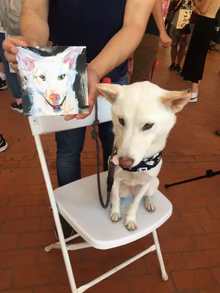 Live event drawing sitting dog
