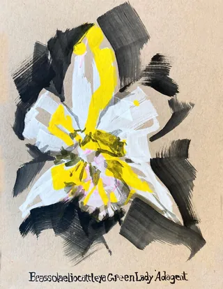 Abstract floral painting of Brassolaeliocattleya Green Lady by Quincy Sutton