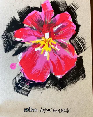 Miltonia Anjou 'Red Mask' floral painting by Quincy Sutton