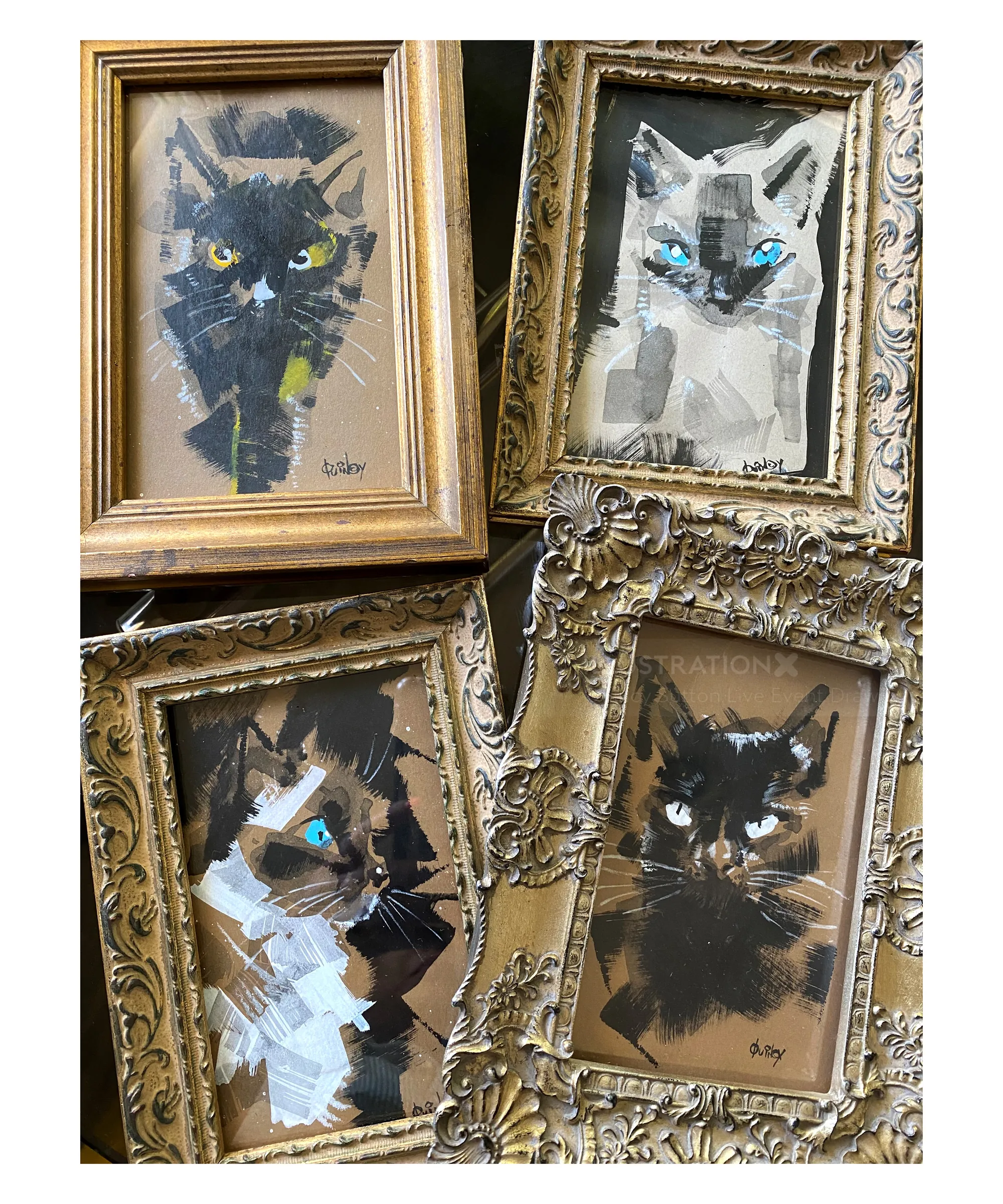 Four framed abstract cat portraits by Quincy Sutton