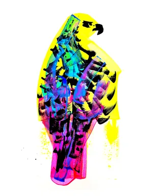 Brightly colored hawk portrait with ink and acrylic by Quincy Sutton