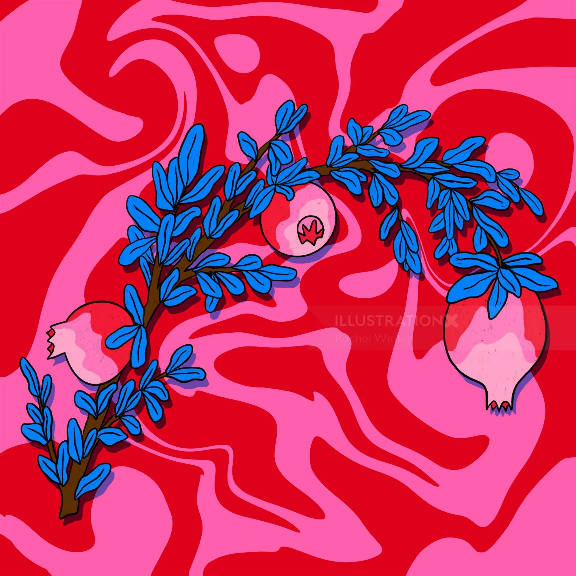 Rama de granado con hojas azules sobre fondo rojo ondulado por Rachel Winter