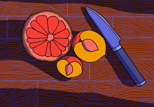 Rachel Winter Colour And Pattern Filled Illustrator