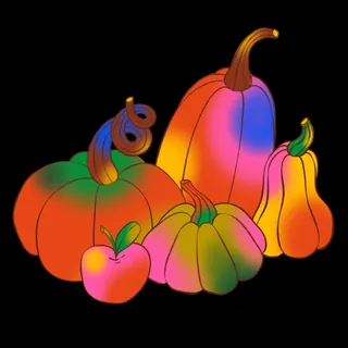 Brightly colored pumpkins and gourds illustration on black background