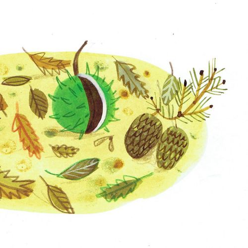 thorny fruits and dried leafs drawing