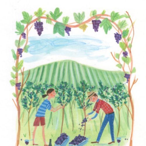 lads collecting grapes for wine