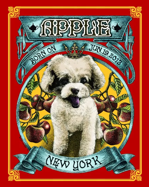Pet portrait of small white dog Apple with fruit frame by Reiko Lauper