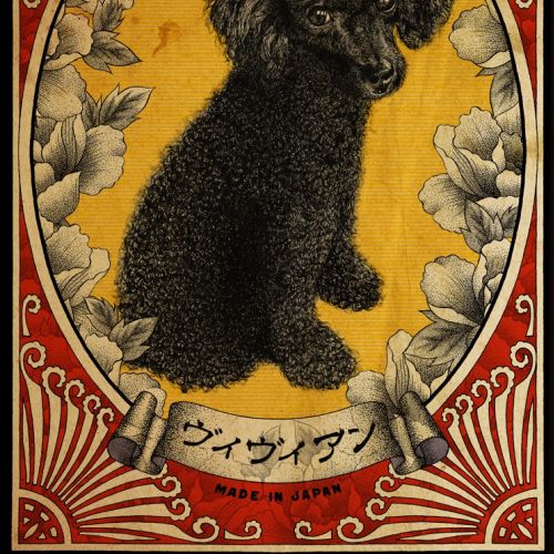 Black poodle pet portrait with floral background by Reiko Lauper