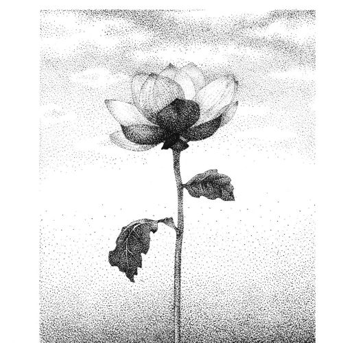 Surreal drawing of hand holding roots under blooming flower on stem by Reiko Lauper