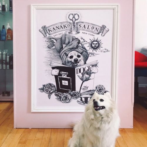 Reiko Kato Animals Illustrator from United States