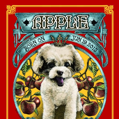 Pet portrait of small white dog Apple with fruit frame by Reiko Lauper