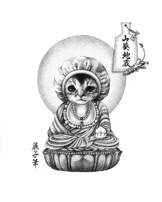 Cat Buddha