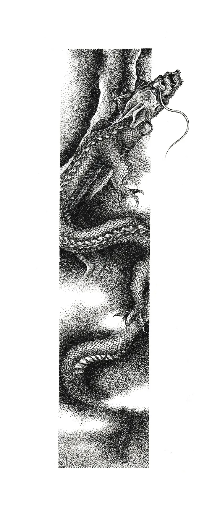 Mini dragon detailed black and white drawing by Reiko Lauper