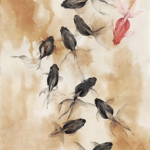 Watercolor of black and red goldfish by Reiko Lauper