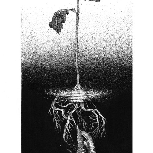 Surreal drawing of hand holding roots under blooming flower on stem by Reiko Lauper
