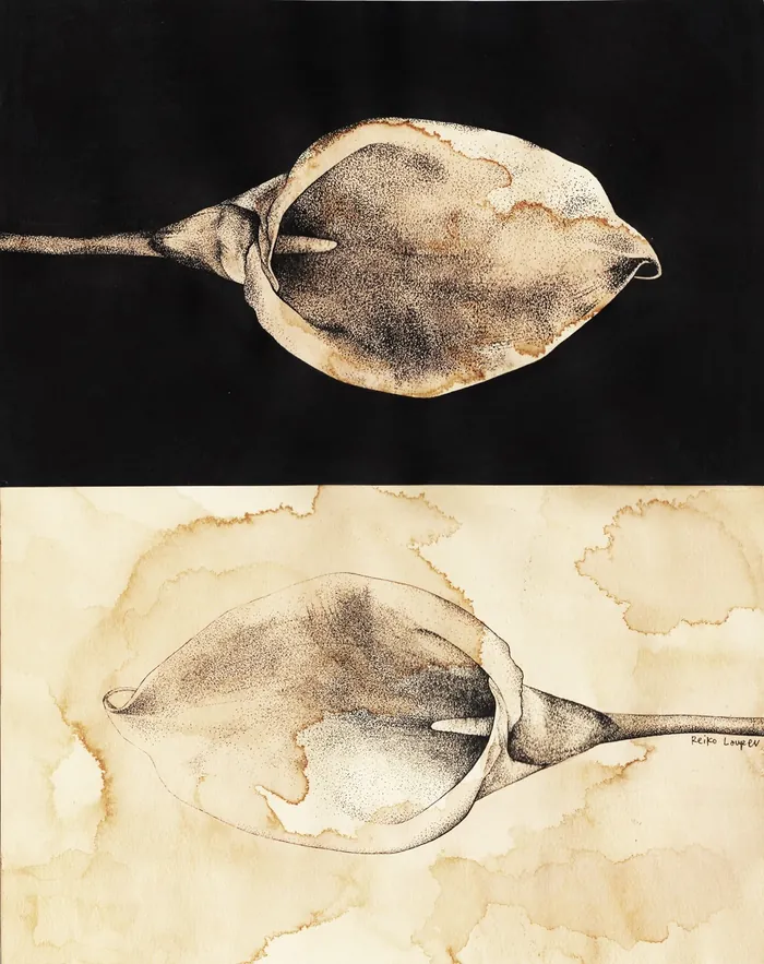 Two contrasting plant pods symbolizing yin and yang by Reiko Lauper