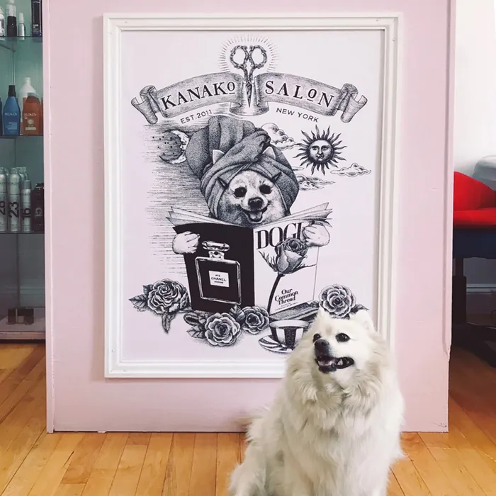 White fluffy dog in front of salon dog illustration on pink wall