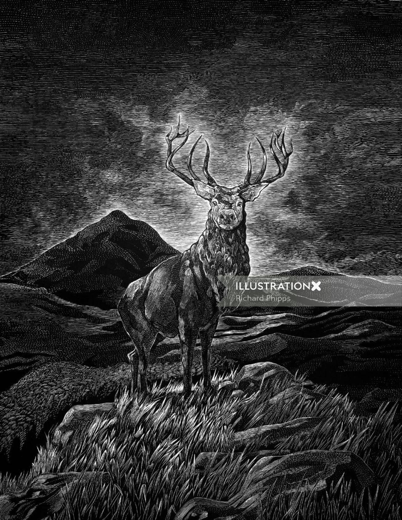 鹿の白黒画