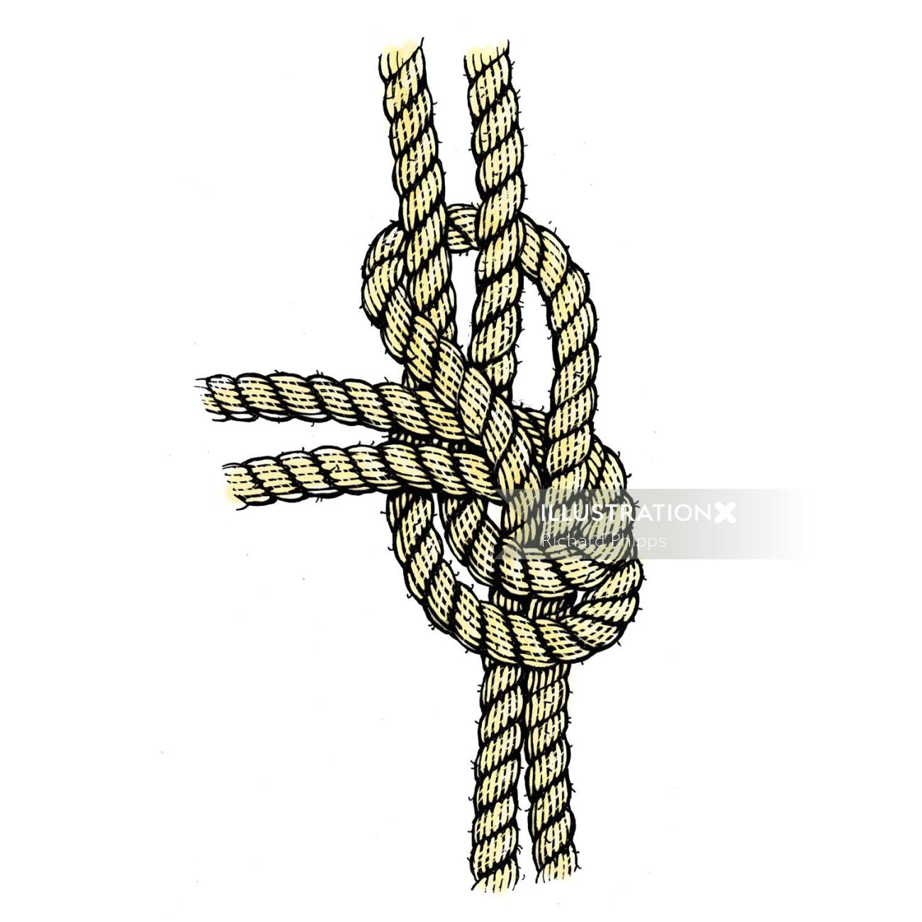 Illustration graphique de la corde
