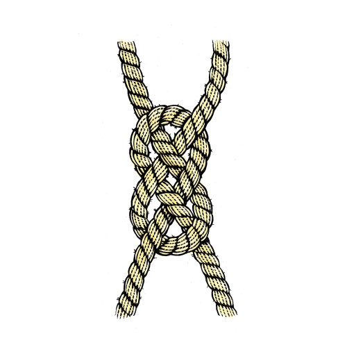 Tri knot of a rope
