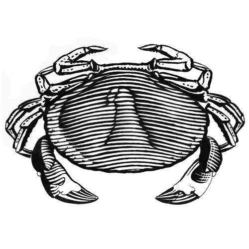 line art of crab for Sainsbury's