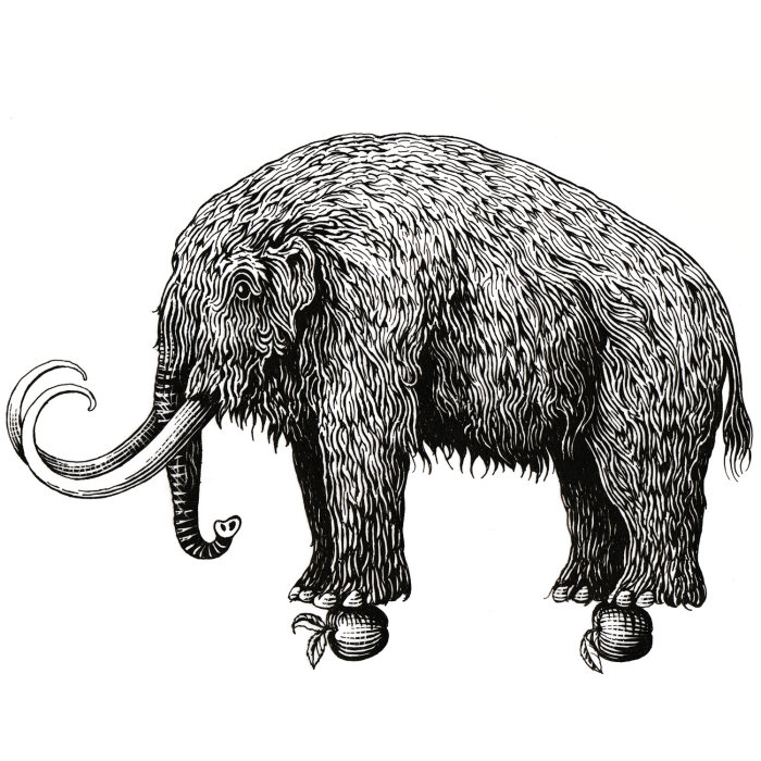 Mammoth Black and white Graphic
