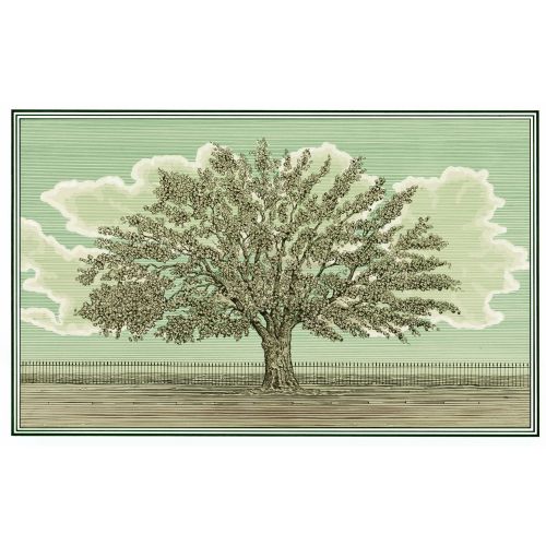 Oak Tree Postcard
