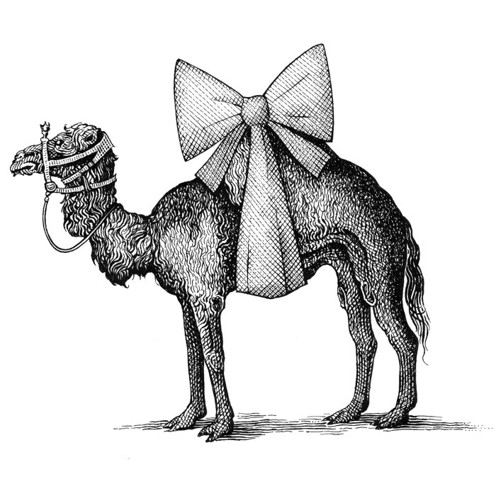 婚礼做与不做骆驼