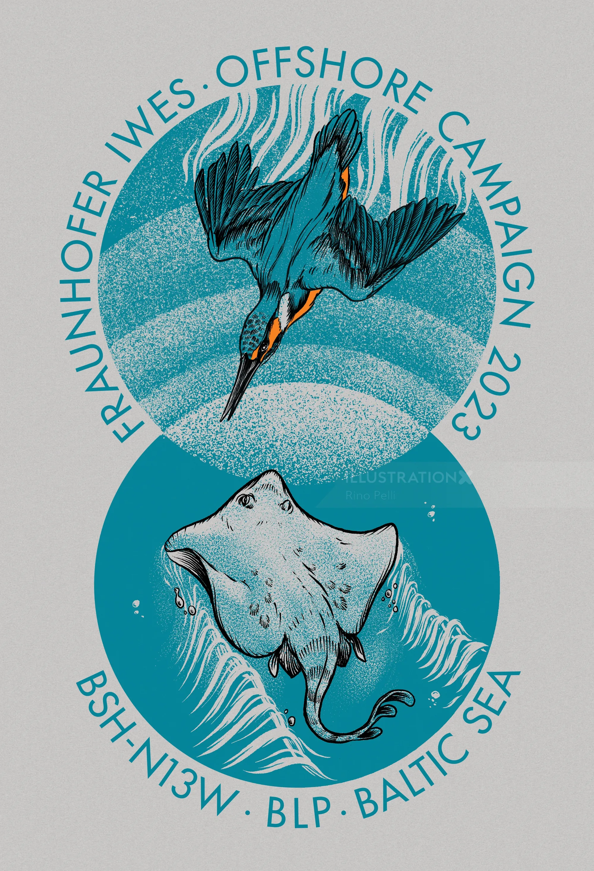 Illustration of seabird and manta ray with text about Fraunhofer IWES Offshore Campaign 2023 by Rino