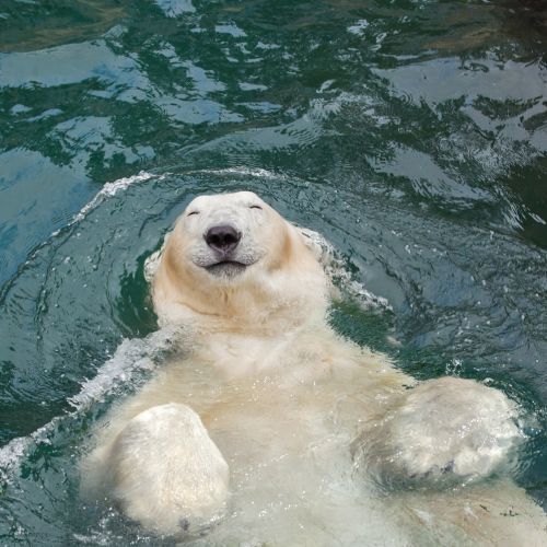 RIVE GAUCHE 3D CGI digital illustrator team. Germany