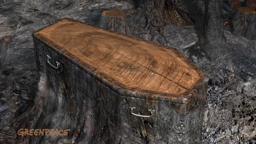 3d creatures animation
