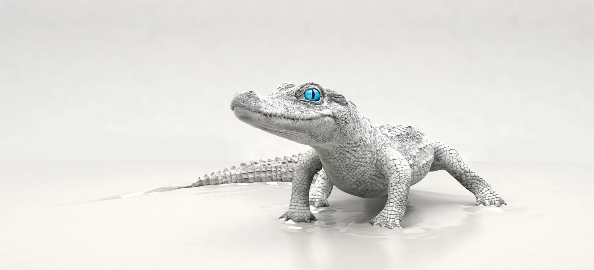 White crocodile sculpture with blue eyes by RIVE GAUCHE