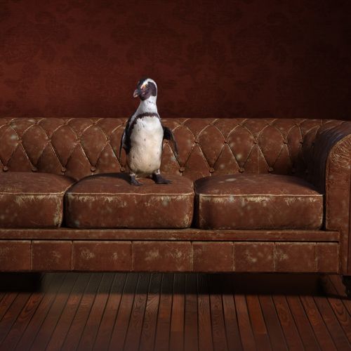 Penguin sitting on a brown vintage sofa beside an old radio art by RIVE GAUCHE