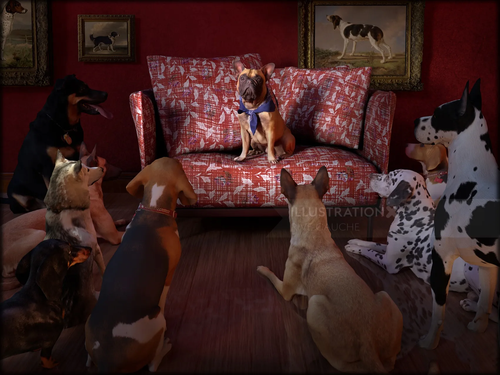 Small dog on patterned couch surrounded by other dogs in room by RIVE GAUCHE