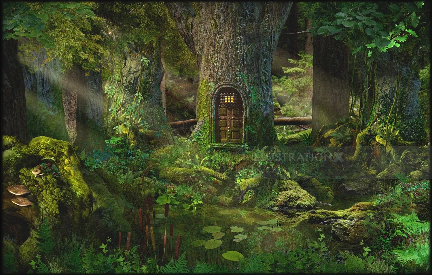 Mystical tree door in forest with illuminated window by RIVE GAUCHE