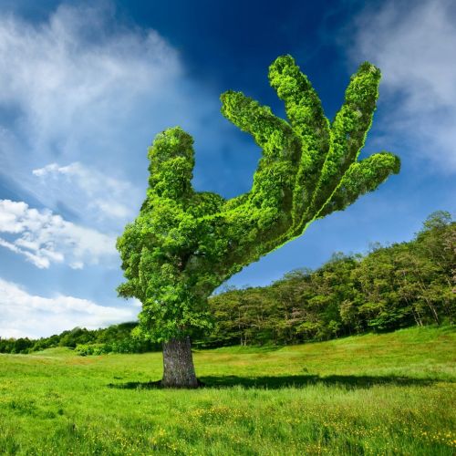 Tree shaped like a hand in a green field by RIVE GAUCHE