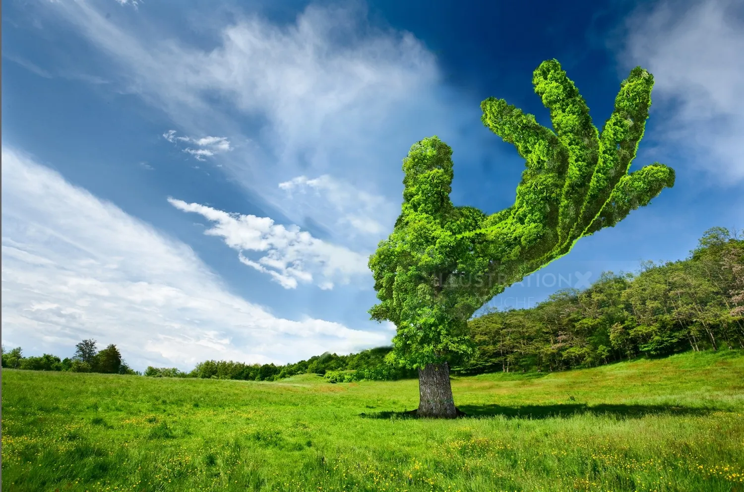 Tree shaped like a hand in a green field by RIVE GAUCHE