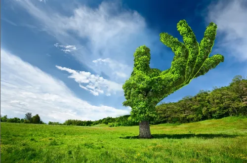 Tree shaped like a hand in a green field by RIVE GAUCHE