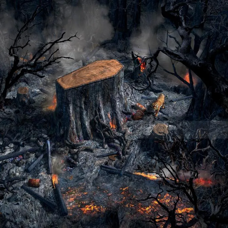 Burned forest landscape with large tree stump and glowing embers by RIVE GAUCHE