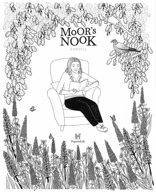 Childrens book moors nook
