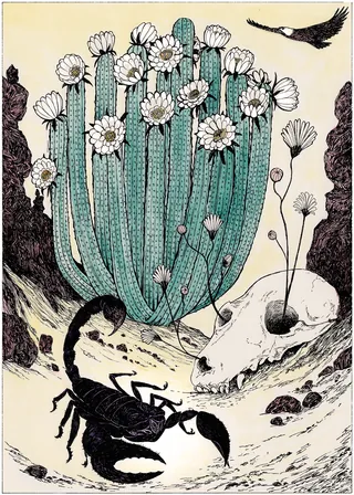 Illustration of a scorpion near cactus and animal skull by Rohan Eason