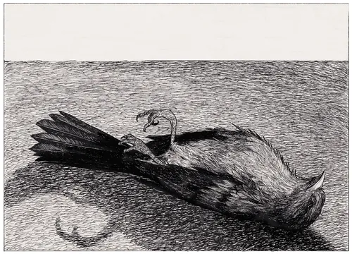 Ink drawing of a dead bird lying on the ground by Rohan Eason