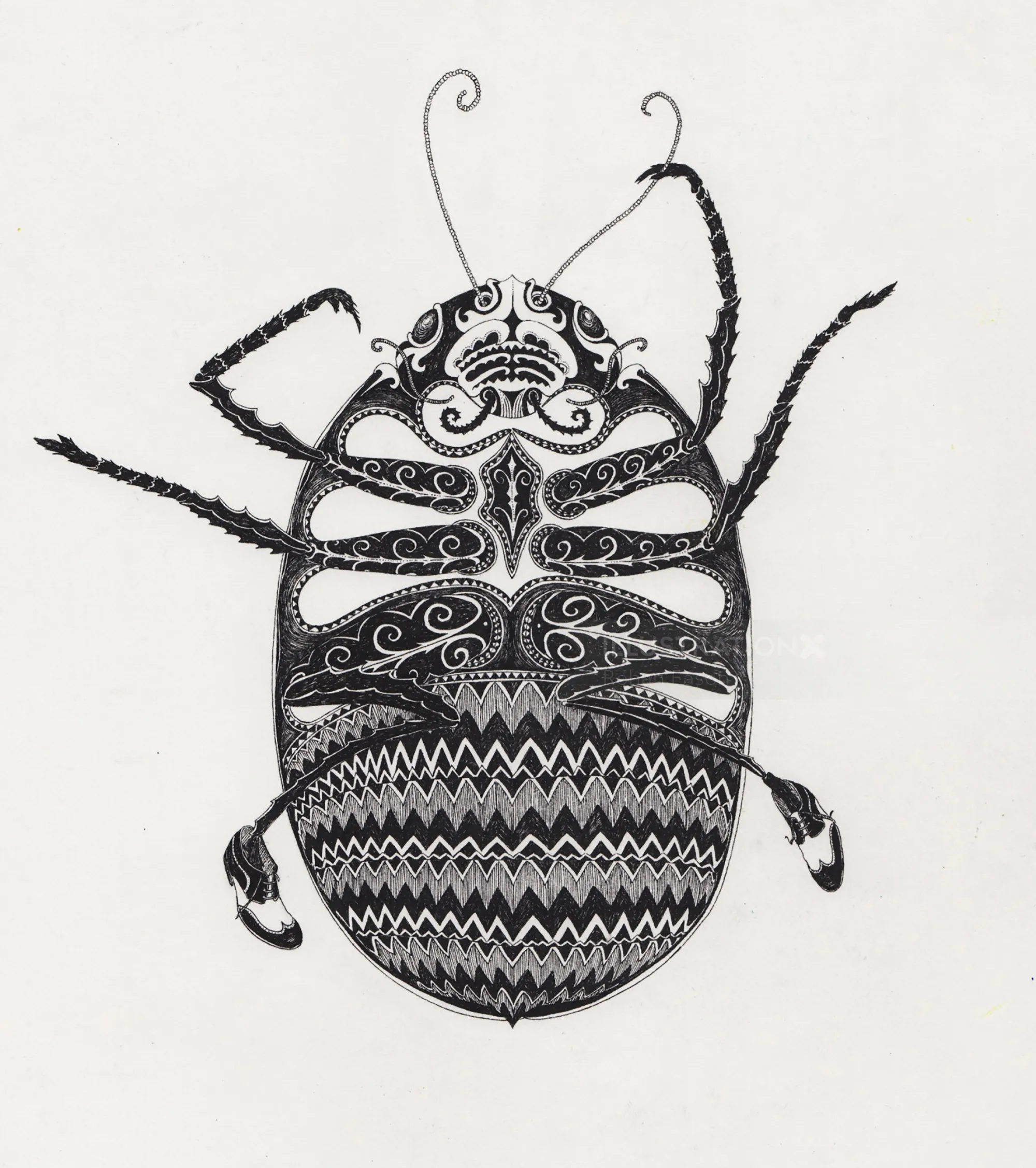 Detailed black and white beetle drawing by Rohan Eason
