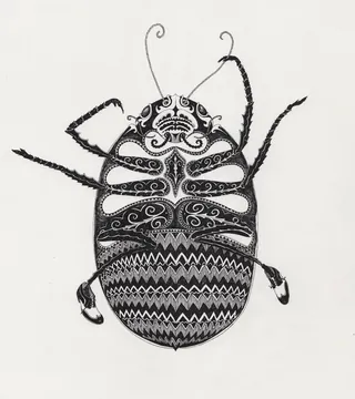 Detailed black and white beetle drawing by Rohan Eason