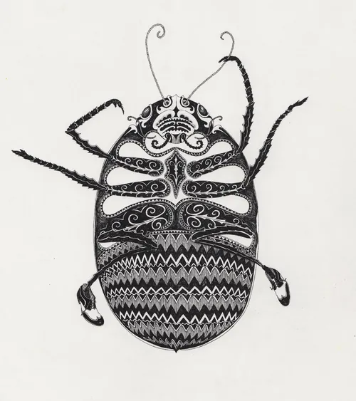 Detailed black and white beetle drawing by Rohan Eason