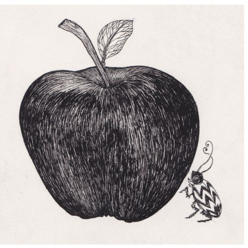 Black ink drawing of an apple with a small patterned bug by Rohan Eason