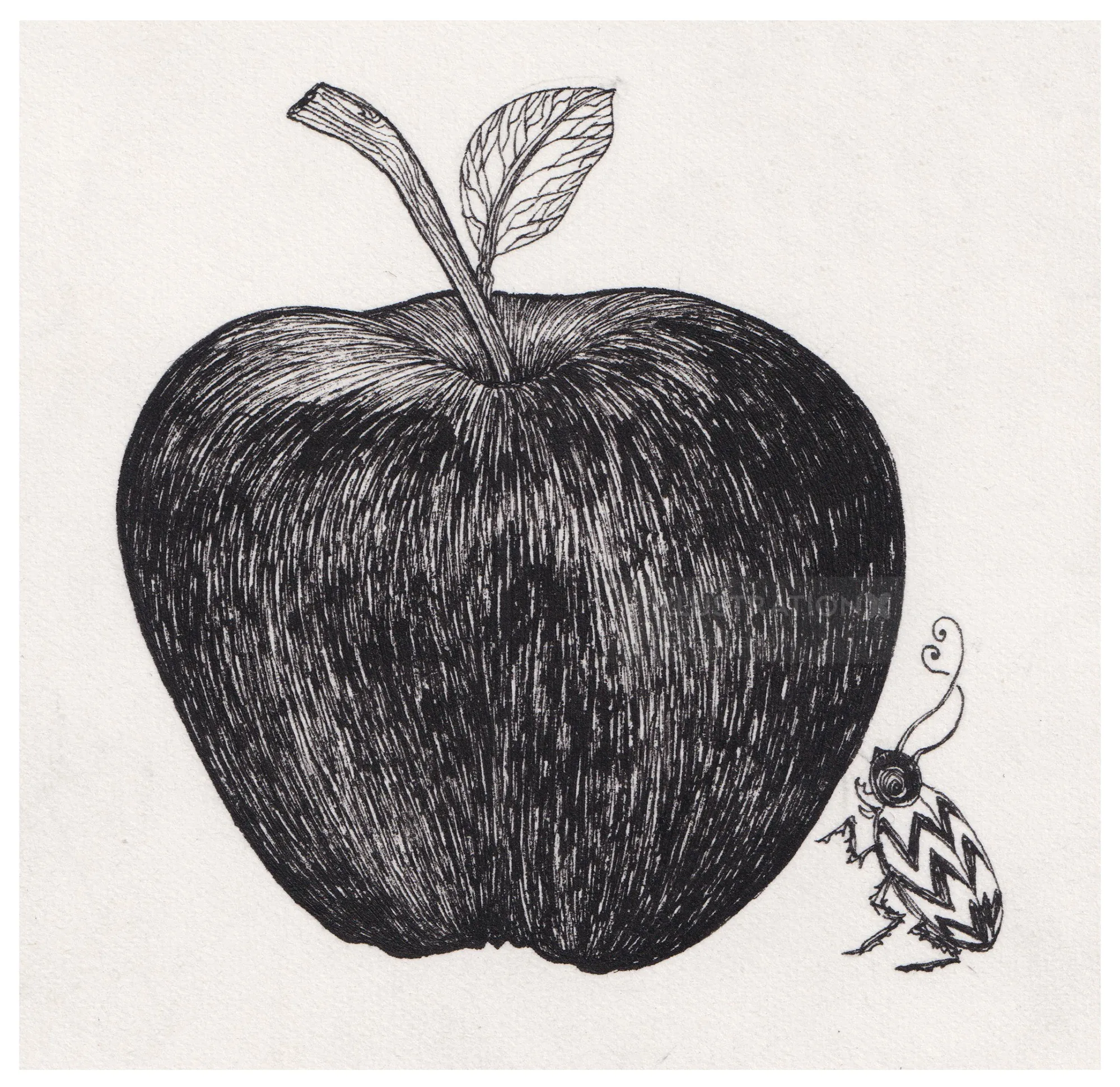Black ink drawing of an apple with a small patterned bug by Rohan Eason