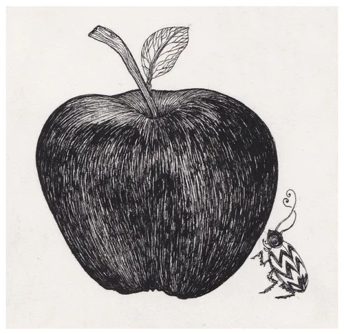Black ink drawing of an apple with a small patterned bug by Rohan Eason