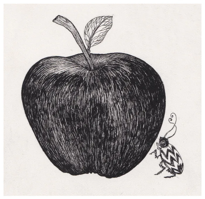 Black ink drawing of an apple with a small patterned bug by Rohan Eason